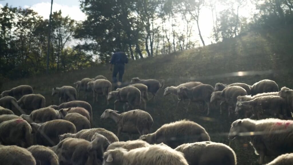 Canossa e le sue valli